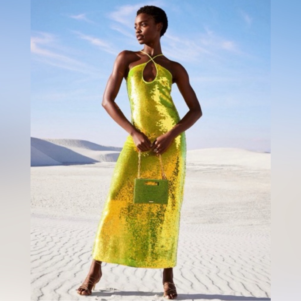 Cult Gaia Lily dress